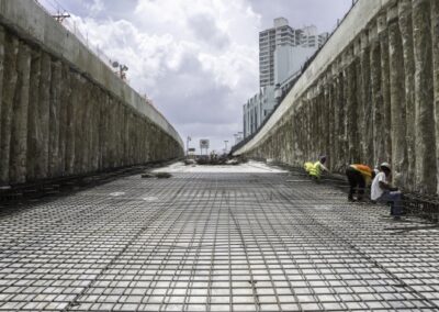 Vías Colectoras – Vía Brasil